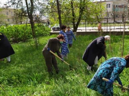 В рамках проекта "Здоровое будущее" в Элисте состоялась посадка саженцев