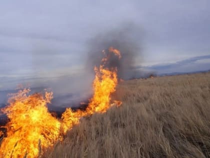 В Калмыкии прогнозируют пожарную опасность 5 класса