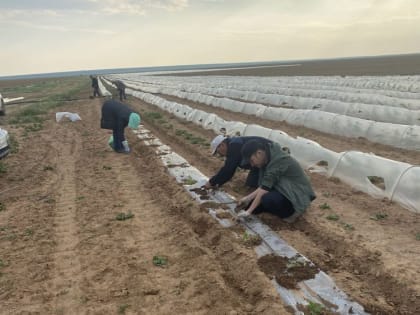Закладка демонстрационных опытов