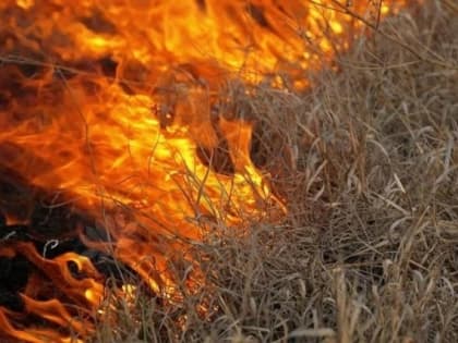На территории республики ожидается чрезвычайная пожарная опасность 5 класса