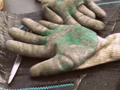 Калмыкия вошла в десятку лидеров по оттоку рабочего населения в другие регионы в 2022 году