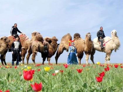 Глава Финансового управления распределит премии руководителям