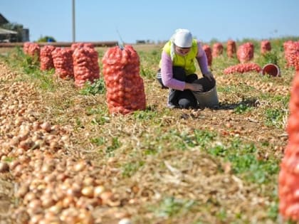 Более 2200 жителей Калмыкии получают повышенную пенсию за работу в сельском хозяйстве