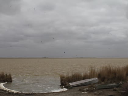 Рыбаки Калмыкии подводят итоги весеннего лова