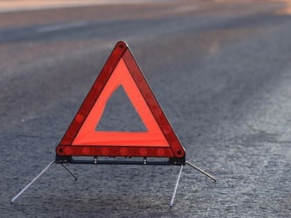 В Яшкульском районе произошло ДТП, 1 человек погиб