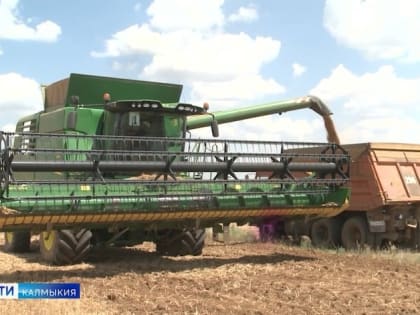 В Калмыкии собрано свыше пятисот тыс. тонн зерновых и зернобобовых культур, обмолоченная площадь составляет свыше 180-ти тысяч гектаров, это около 65% от всей уборочной площади