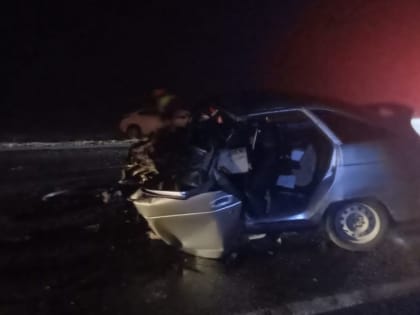 В Калмыкии выясняют обстоятельства смертельной аварии