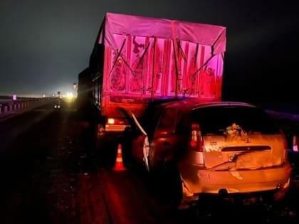 На минувшей неделе на дорогах Калмыкии произошло 12 дорожно-транспортных происшествий