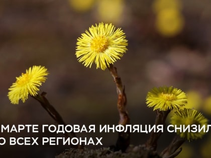 На инфляцию в Калмыкии в марте влиял эффект базы