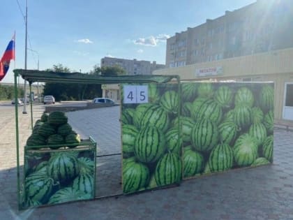 В Элисте определили места для торговли бахчевыми