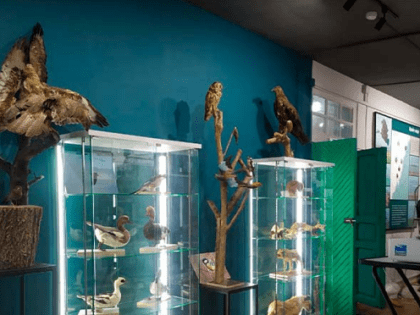 В Лаганском районе Калмыкии открылась экспозиция «Город у моря»