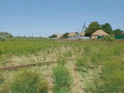 В Калмыкии продолжают борьбу с саранчой