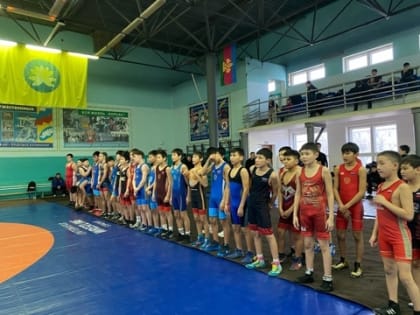 В Калмыкии прошли соревнования по спортивной борьбе