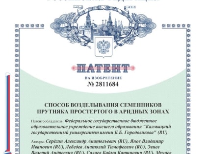 Разработка ученых КалмГУ «Способ возделывания семенников прутняка простертого в аридных зонах» получила признание