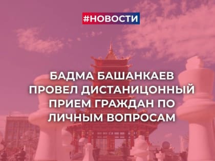 Бадма Башанкаев провел дистанционный прием граждан