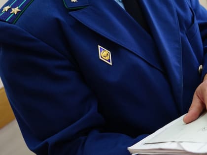 Житель Калмыкии ответит в суде за избиение брата до смерти