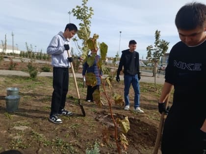 В Элисте прошла акция «Дерево жизни»