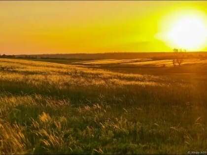 Энергетическая компания усилила в Калмыкии меры противопожарной безопасности из-за аномальной жары