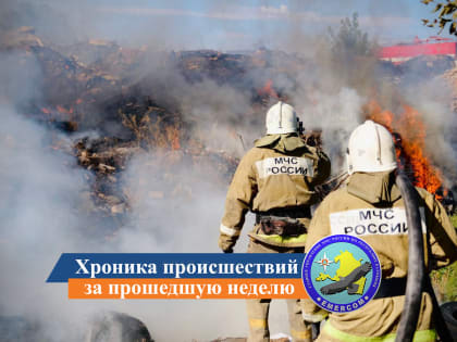 Хроника происшествий за прошедшую неделю (07.08. - 13.08.23)