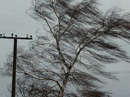 В Калмыкии синоптики пообещали сильный ветер