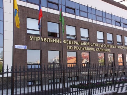 У бывшей жены элистинца, задолжавшего 28 миллионов рублей, арестовали земельные участки