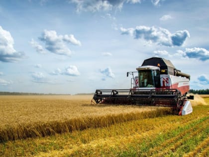 В районах Калмыкии уборка идет полным ходом