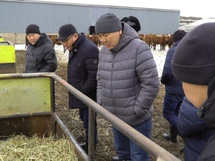 Калмыкия и Бурятия обсудили сотрудничество в агросфере