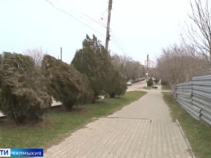 Местами по Калмыкии ожидаются сильные дожди