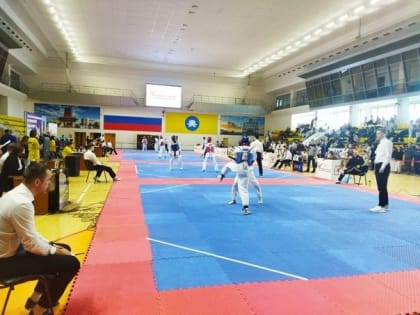 В эти минуты в Калмыкии проходит первенство ЮФО по тхэквондо среди юниоров и юниорок 15-17 лет