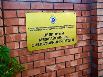 Житель Целинного района осужден за оскорбление участника судебного разбирательства