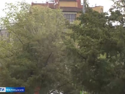 Сегодня в Калмыкии дождь и ветер