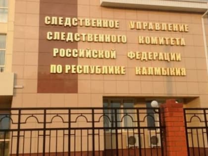Преступления против детей в России: ситуация в Элисте