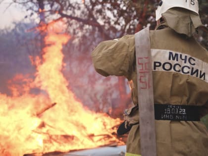 Элистинские огнеборцы ликвидировали возгорание камыша