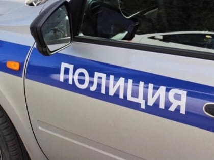 Сотрудники полиции Яшкульского района раскрыли кражу украшения из частного дома