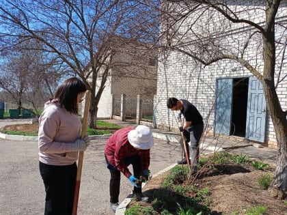 Студенты специальности «Правоохранительная деятельность»  вышли на субботник