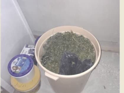 Жителя Калмыкии задержали за крупную партию наркотика