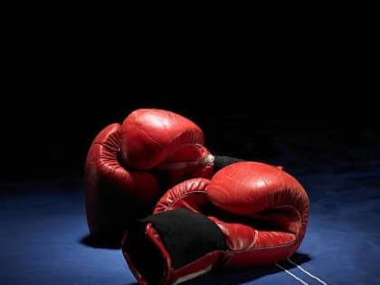 Калмыцкие боксеры участвуют во всероссийском турнире
