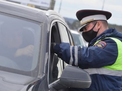 Под Волгоградом сотрудники ДПС нашли наркотики у жителя Калмыкии