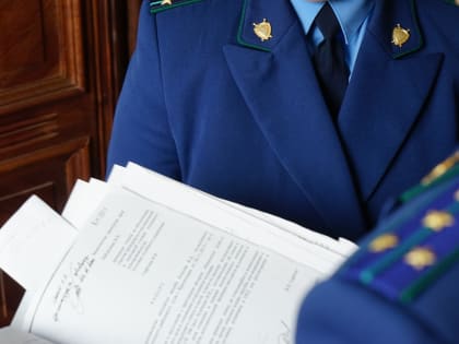 Элистинец отправится отбывать наказание в колонию за применение насилия в отношении полицейского