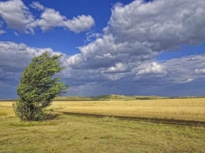 В Калмыкии прогнозируют усиление ветра