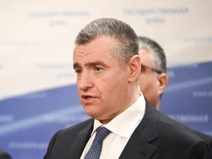 ЛДПР предложила обеспечить жильём вышедших на пенсию полицейских
