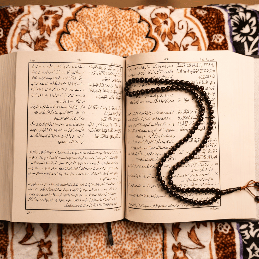 Bayan-Ul-Quran by Dr. Israr Ahmed alternate view