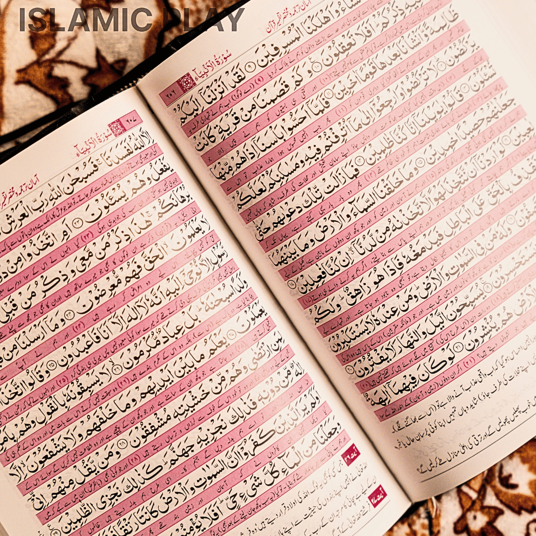 Asan Tarjuma Quran – Dr. Israr Ahmed alternate view