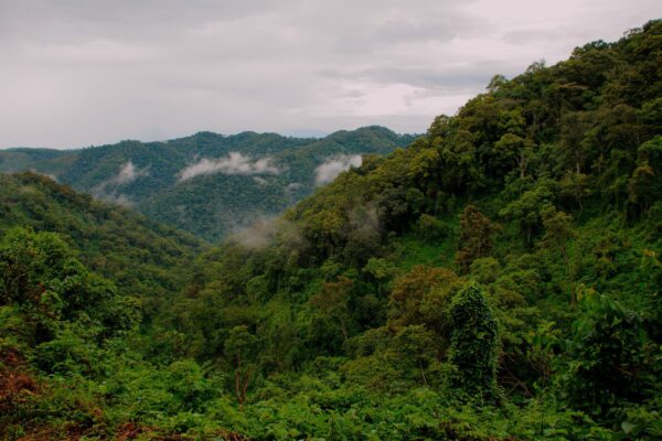 Uganda
