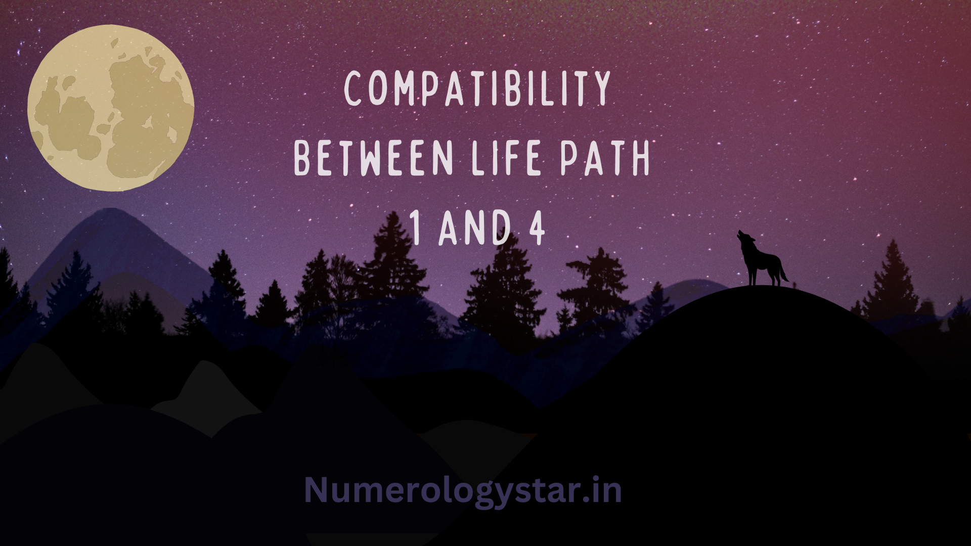 Life Path 1 and 4 Compatibility: Exploring Business, Friendship, and Marriage