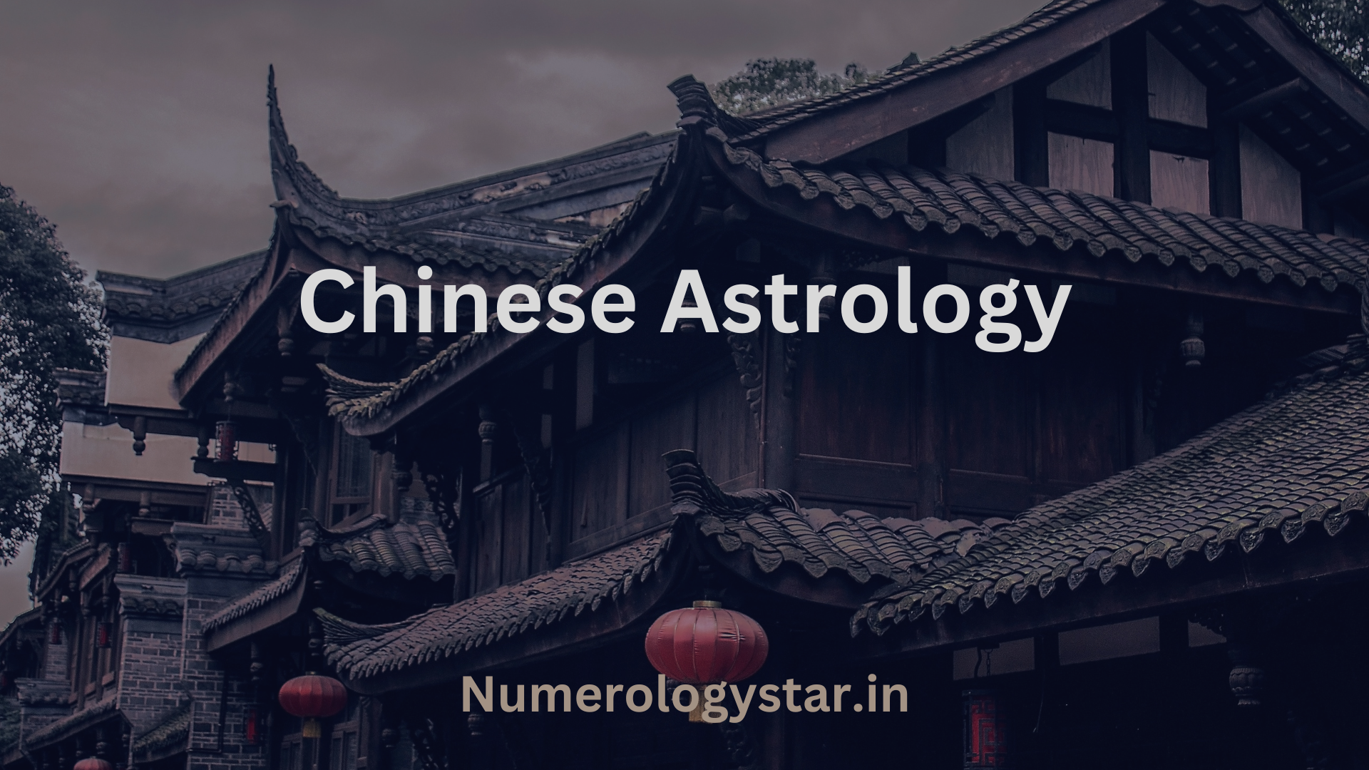 Chinese Astrology