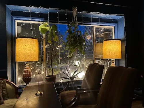 Image of The Red Accordion