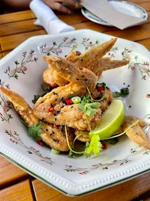 Image of The Red Accordion