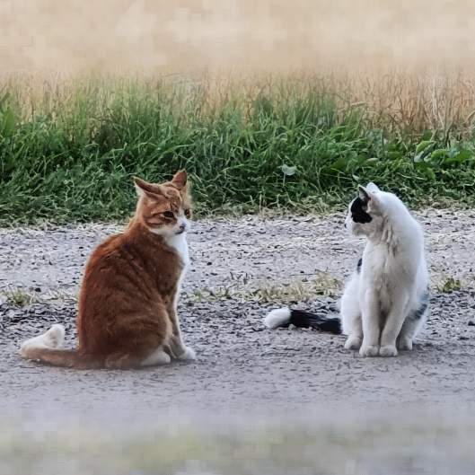 Meet the Makers Behind Werecat Industries