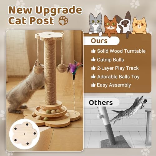 Vue 4 de Arbre Chat En